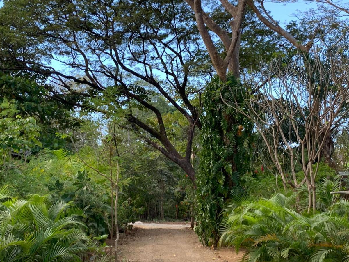 Pazifico Villas Playa Avellana Bagian luar foto